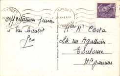 CPA Lourdes the basilica and Gave