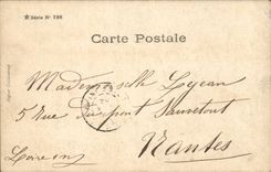 Fantasy - Children - Marriage - attaches - wedding - humor - wine - wine - CPA