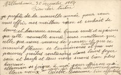 Festivals - Rose - Birds - Flowers - Birds - Happy New Year - CPA