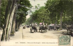 Paris - 16 - Bois de Boulogne - Allee des Acacias - CPA 
