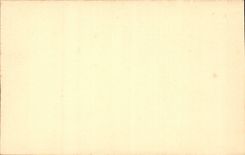 Chartres - the Cathedral - Detail - CPA