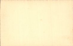 Chartres - the Cathedral - Detail - CPA