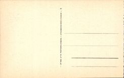 Luchon - the Bust of Rostand - CPA