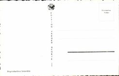 Swiss CPSM Geneva roads the water jet and Mont Blanc