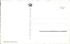 Swiss CPSM Geneva View