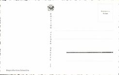 CPSM Geneva Unloading dock of the quay of Mont Blanc and boat Living room Switzerland