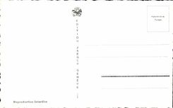 CPSM Geneva Bridge of Mont Blanc and island JJ Rousseau