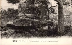 CPA Drill of Fontainebleau the tortoise throats of Apremont