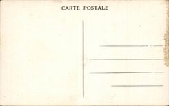 CPA Drill of Fontainebleau the tortoise throats of Apremont