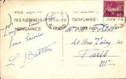 Nice - Gardens of the King Albert I - CPA