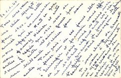 Festivals - Happy New Year - houx - holly - winter scene - CPA