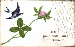 CPA Fantasy Good Swallow for 366 days of happiness