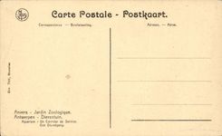 CPA Antwerpen zoologischer Garten Aquarium-Flur des Services