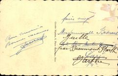 Nice CPA law courts and gulls