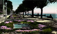 Swiss CPA Neuchâtel Osterwald Quay