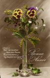 Festivals - Happy New Year - Flowers - Flowers - thought - pansy - CPA
