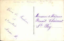 Festivals - Happy New Year - Flowers - Flowers - thought - pansy - CPA