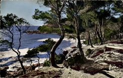 Mass-Azurblau - Weise der Kuste - CPA