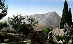 Toulon - the Toulon-native Mountain - Sight on Coudon - CPA