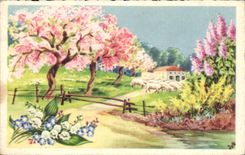 CPA Fantasy Landscape