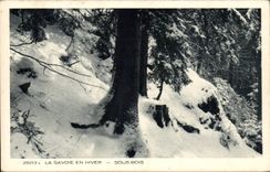 CPA Savoy in winter under wood