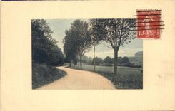 CPA Fantasy Landscape