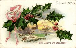 CPA Fantasy 365 days of happiness