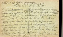 CPA Versailles the orangery the castle