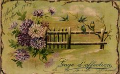 CPA Fantasy Flowers and birds