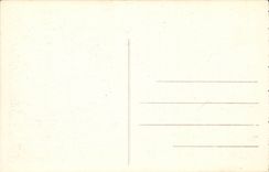 CPA Nice the gardens Albert 1st and the avenue of Verdun