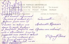 CPA Fantasy Woman Happy New Year