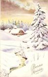 CPA Fantasy Happy New Year Landscape in snow