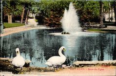 CPA Vichy Bassin des cygnes