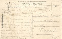 CPA Nice Seen between the flowers