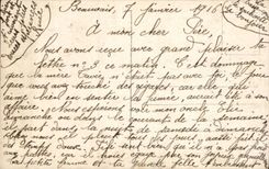 CPA Fantasy Woman Happy New Year basket of flowers