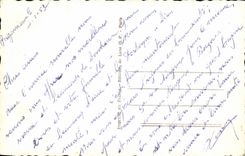 CPA Fantasy Happy New Year