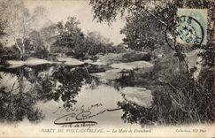 CPA Drill of Fontainebleau the pond of Franchard