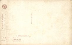 CPA Fantaisie Femme Etcheverry Sous le masque