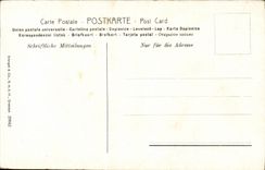 CPA Fantasy Horse Horse horses