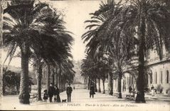 Toulon CPA Places Allee freedom of the palm trees