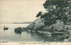 Toulon CPA the pine of Wales