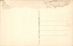 Toulon CPA the pine of Wales