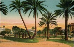 Nice CPA Gardens Albert 1st