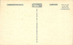 Insel Sainte Ganseblumchen CPA die Zitadelle