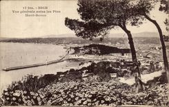 CPA Nice View between the pines Boron Mount