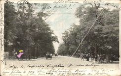 Paris CPA Allee des Acacias