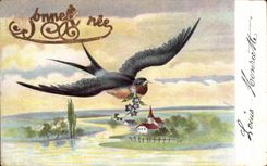 CPA Fantasy Swallow Bonen year