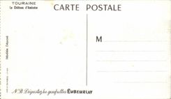 CPSM Le chateau d'Amboise