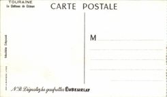 CPSM the castle of Chinon