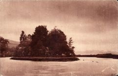 CPA free Spanish Border the island of pheasants